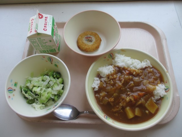 小矢部市立津沢小学校 | 学校日記 | 地区選・ワールドカップ応援献立