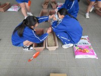 プランターに底庭石を敷いています。